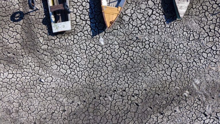 Macaristan’da aşırı sıcakların neden olduğu kuraklık tarıma ciddi zarar veriyor