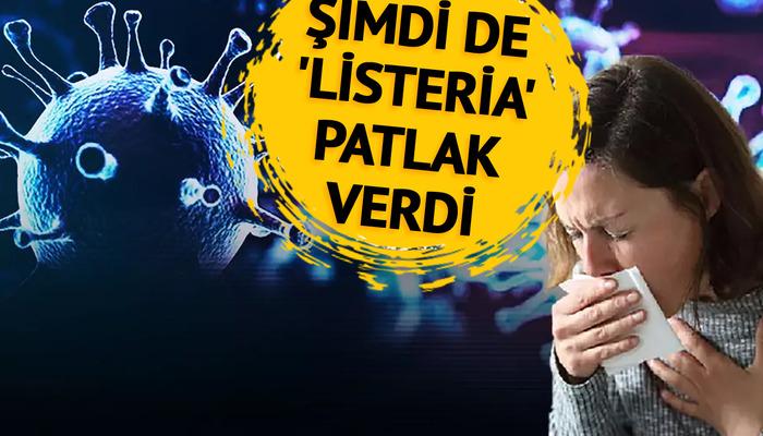 Biz Maymun Çiçeği’nden bahsederken şimdi de Listeria virüsü ortaya çıktı! ABD’de 9 kişi öldü, vaka sayısı artıyor