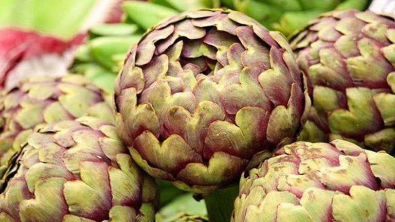 Şeker hastalığına iyi gelir: Enginar yaprağının faydaları nelerdir? Enginar yaprağı çayı ne için kullanılır?