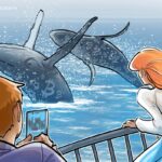 Dev Bitcoin Balina, Trump seçiminden sonra BTC rezervlerini iki katına çıkardı