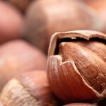 Hazelness Performans Beklentileri Bu yıl 453 bin ton