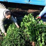 Kayalıklar Arasında Bulunan Hazinenin Kaderi: 100 Aile Paylaşıyor!